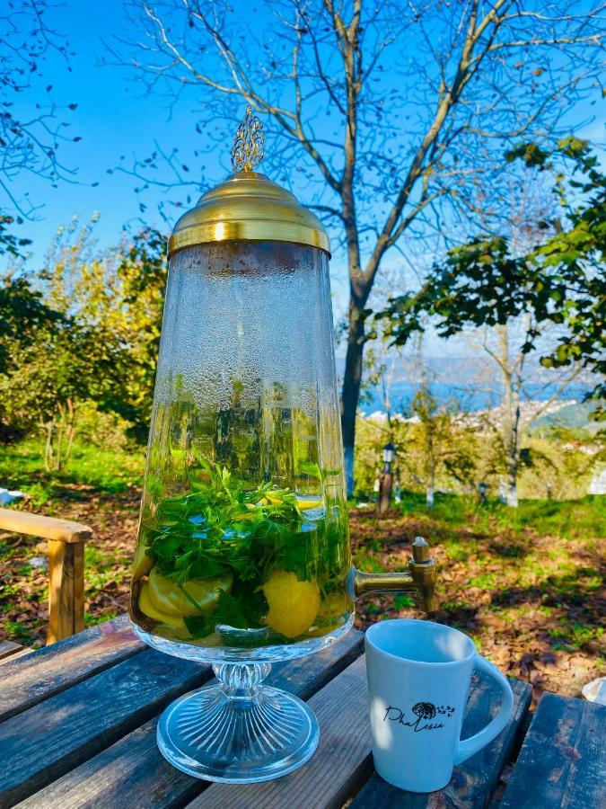 Phalesia Glamping Otel 萨潘贾 外观 照片