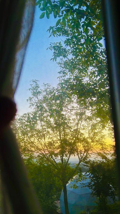 Phalesia Glamping Otel 萨潘贾 外观 照片