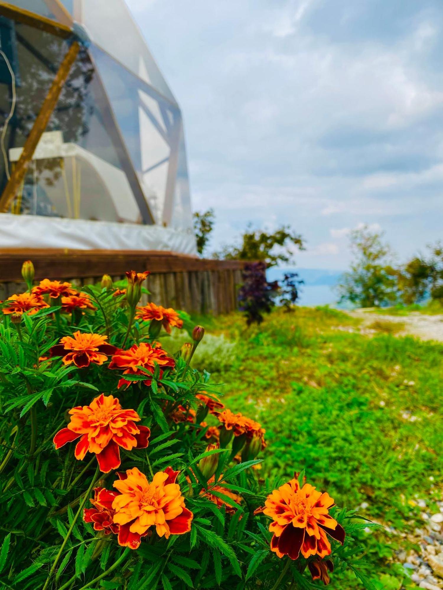 Phalesia Glamping Otel 萨潘贾 外观 照片