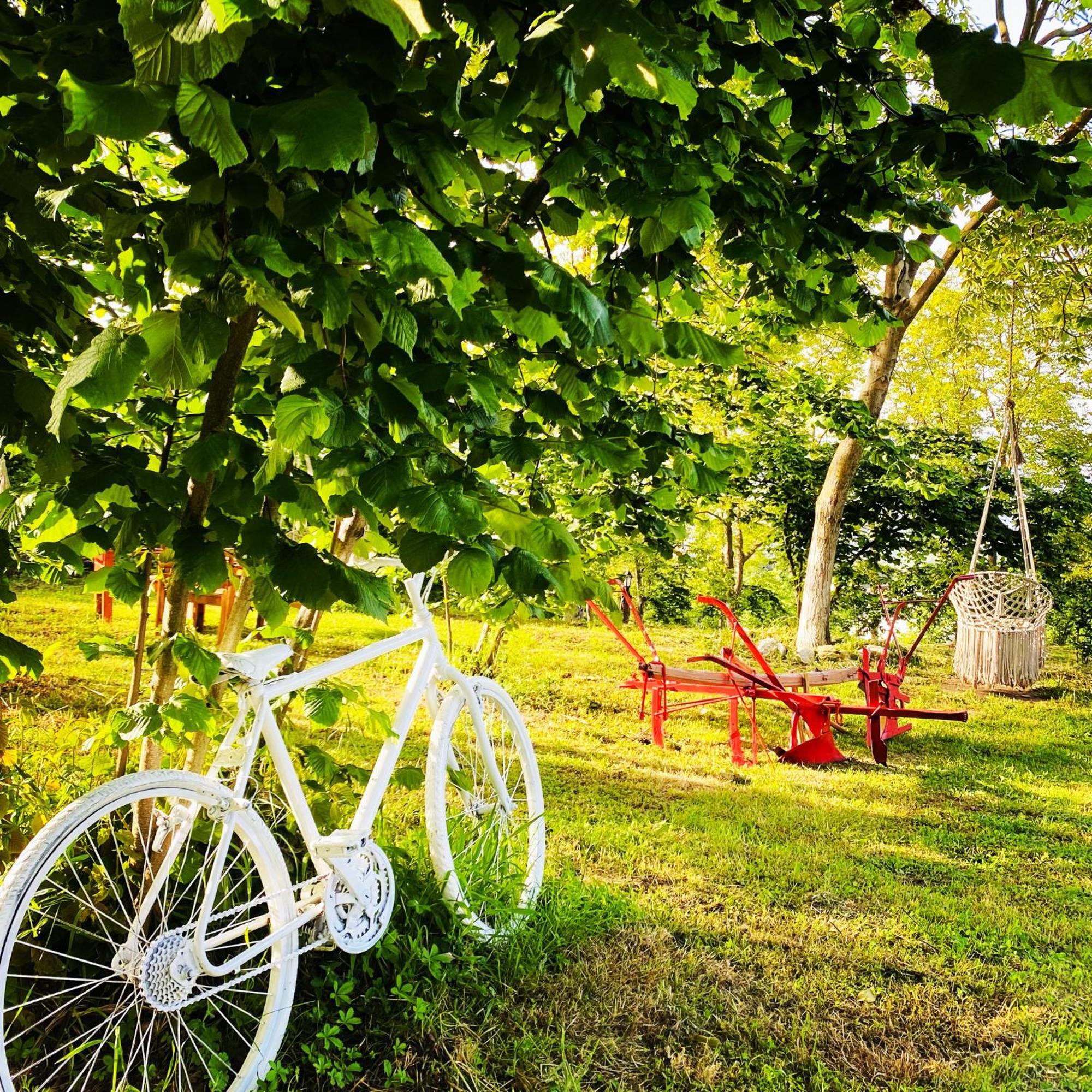 Phalesia Glamping Otel 萨潘贾 外观 照片